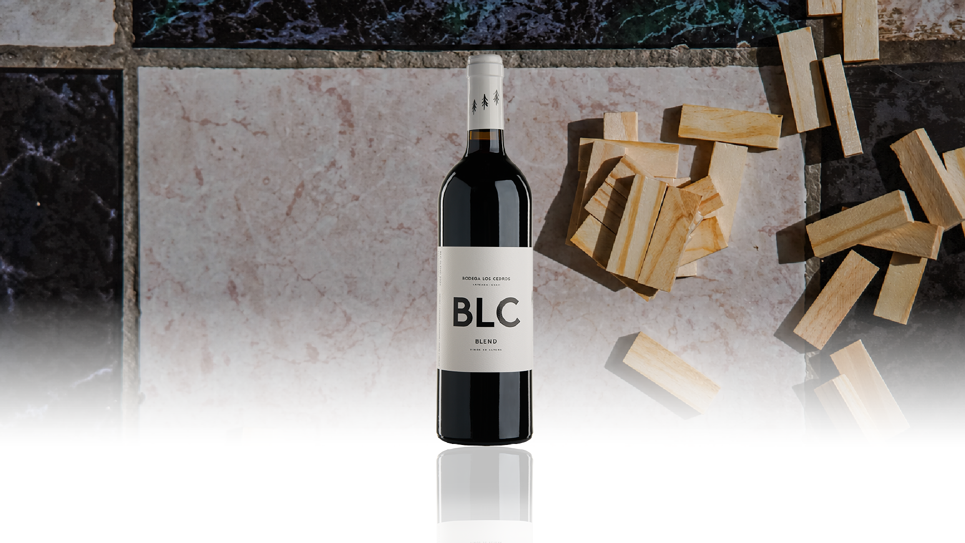 BLC IMG INICIO