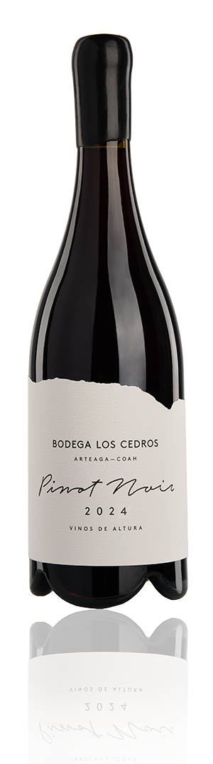 NUEVO PINOT