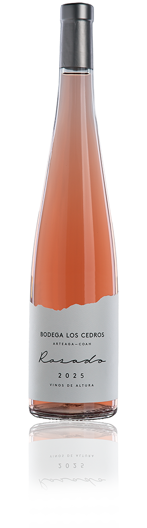 Rosado 2025